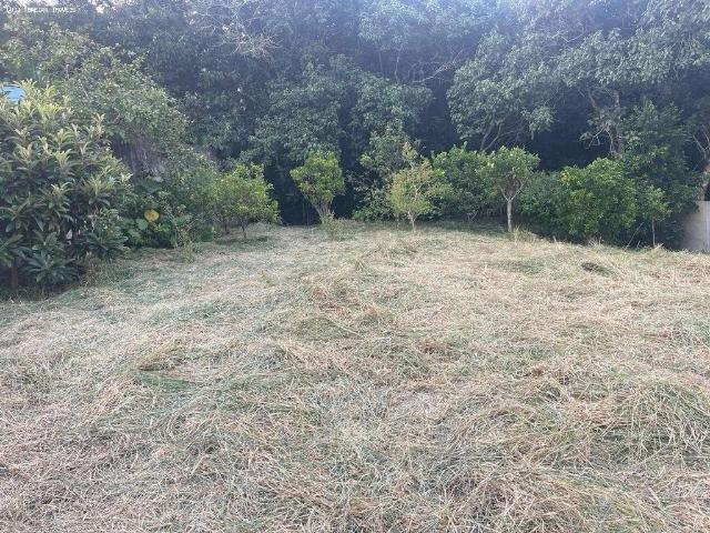 Terreno / Lote para Venda em Mogi das Cruzes/SP Vila Caputera