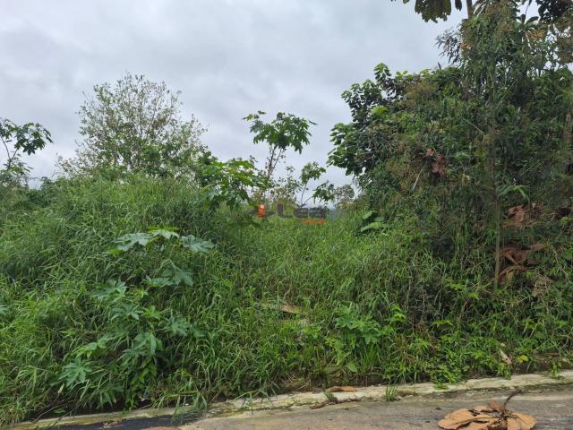 Terreno / Lote para Venda em Mogi das Cruzes/SP Vila São Paulo