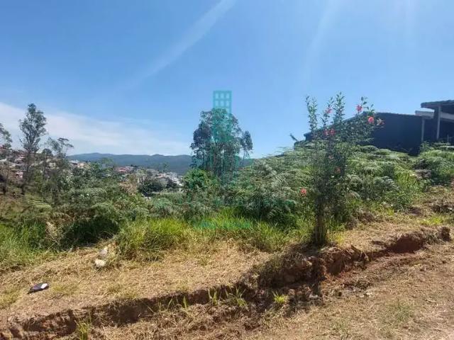 Terreno / Lote para Venda em Mogi das Cruzes/SP Vila São Paulo
