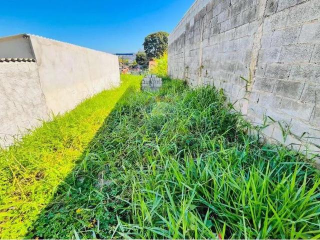 Terreno / Lote para Venda em Mogi das Cruzes/SP Botujuru