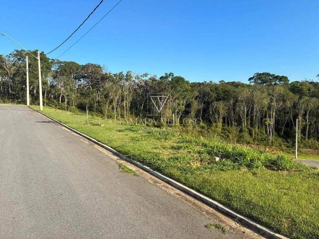 Terreno / Lote para Venda em Mogi das Cruzes/SP Cézar de Souza