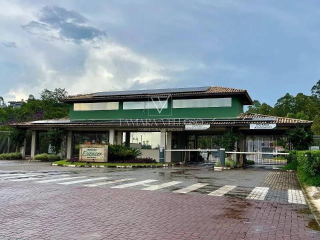 Terreno / Lote para Venda em Mogi das Cruzes/SP Cézar de Souza