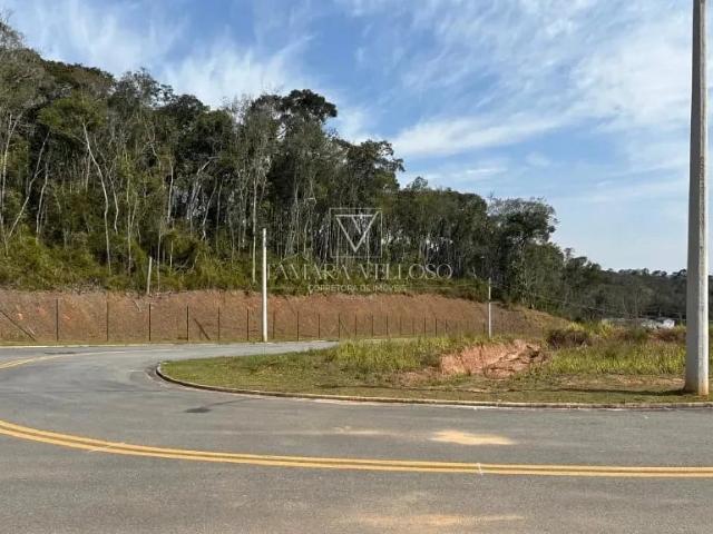 Terreno / Lote para Venda em Mogi das Cruzes/SP Cézar de Souza