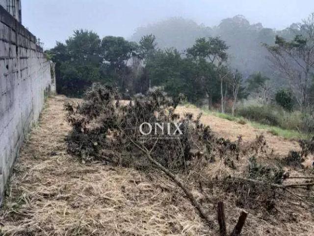Terreno / Lote para Venda em Mogi das Cruzes/SP Parque Residencial Itapeti