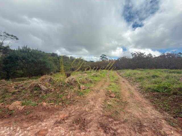 Terreno / Lote para Venda em Mogi das Cruzes/SP Porteira Preta