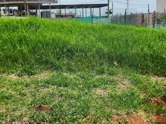 Terreno / Lote para Venda em Mogi das Cruzes/SP Porteira Preta