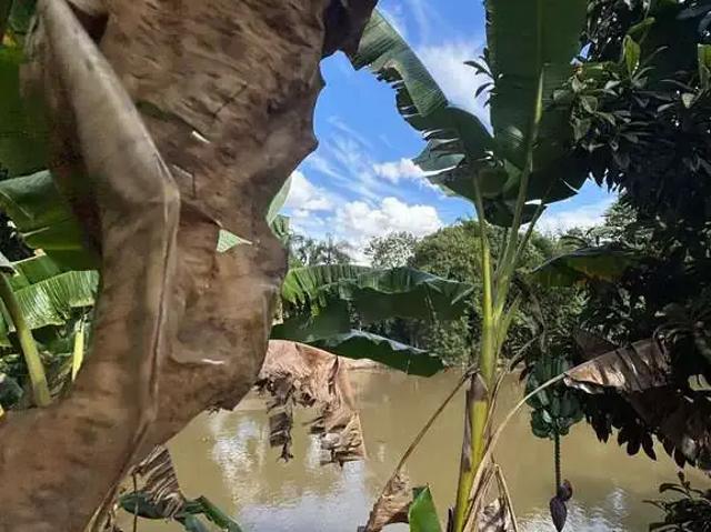 Terreno / Lote para Venda em Mogi Guaçu/SP Centro