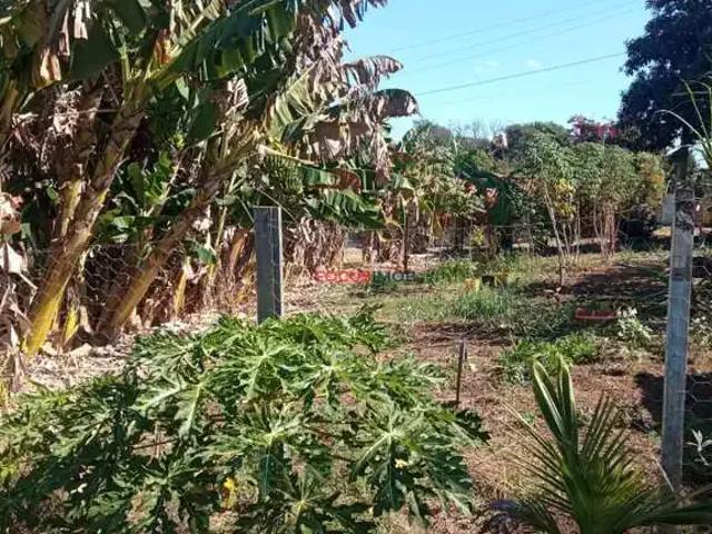 Terreno / Lote para Venda em Mogi Guaçu/SP Chácara Alvorada