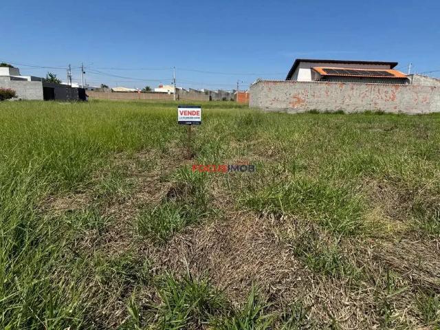 Terreno / Lote para Venda em Mogi Guaçu/SP Vila Flórida