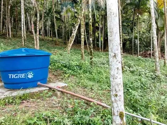 Terreno / Lote para Venda em Morretes/PR Morro Grande