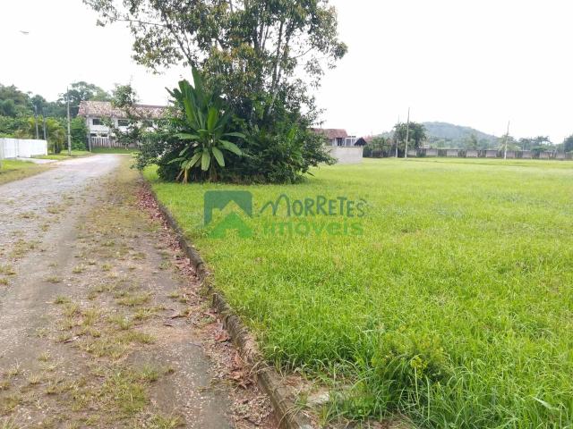 Terreno / Lote para Venda em Morretes/PR Nucleo do Rio Pinto