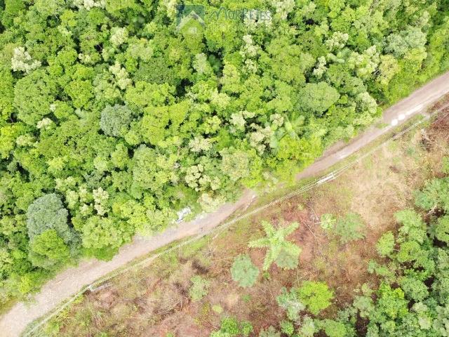 Terreno / Lote para Venda em Morretes/PR América de Cima