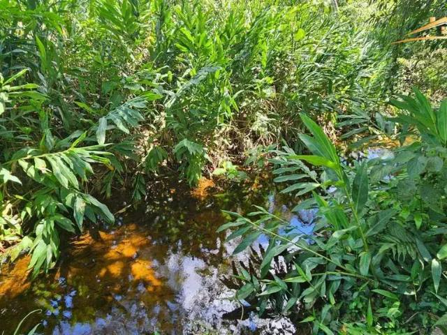 Terreno / Lote para Venda em Morretes/PR Anhaia