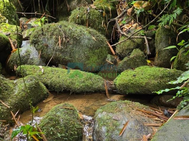 Terreno / Lote para Venda em Morretes/PR Anhaia