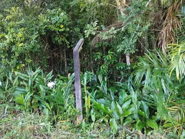 Terreno / Lote para Venda em Morretes/PR Barreiros