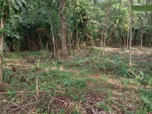 Terreno / Lote para Venda em Morretes/PR Barreiros