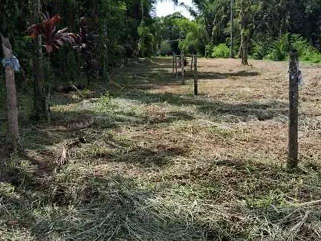 Terreno / Lote para Venda em Morretes/PR Barreiros