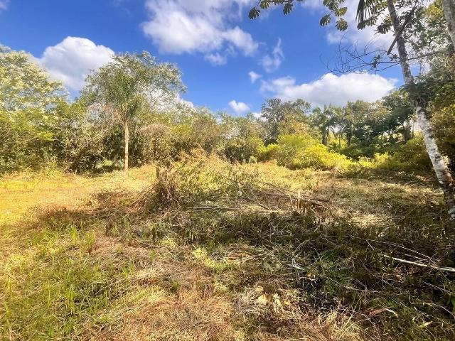 Terreno / Lote para Venda em Morretes/PR Barreiros