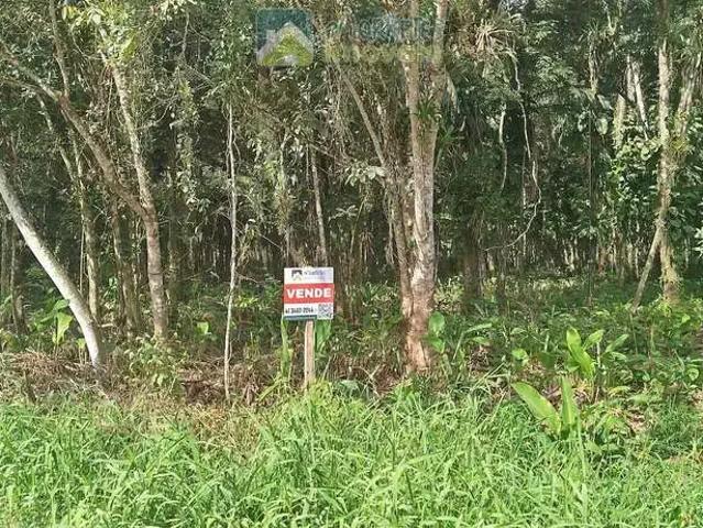 Terreno / Lote para Venda em Morretes/PR Barreiros