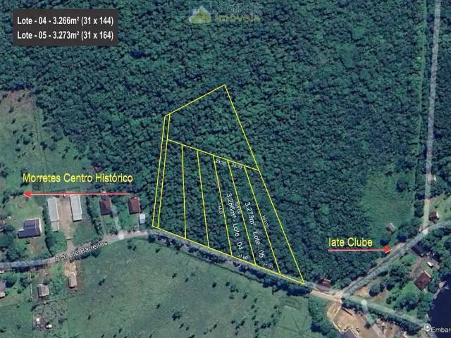 Terreno / Lote para Venda em Morretes/PR Barreiros