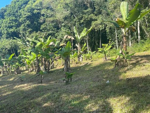Terreno / Lote para Venda em Morretes/PR Colônia Sesmaria