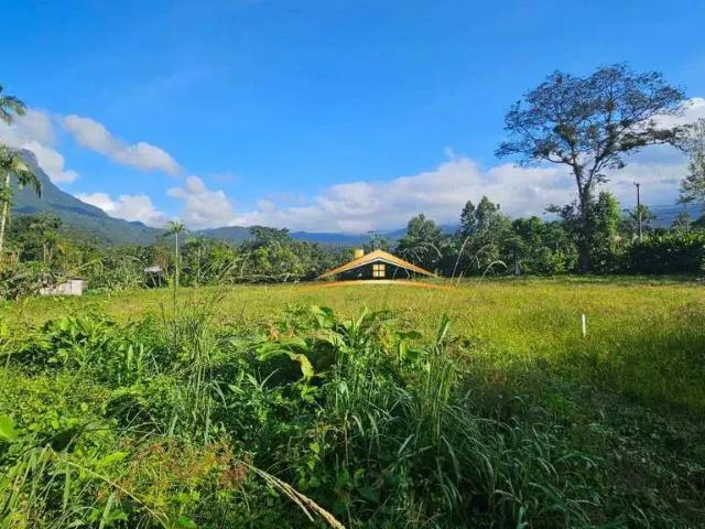Terreno / Lote para Venda em Morretes/PR Porto de Cima