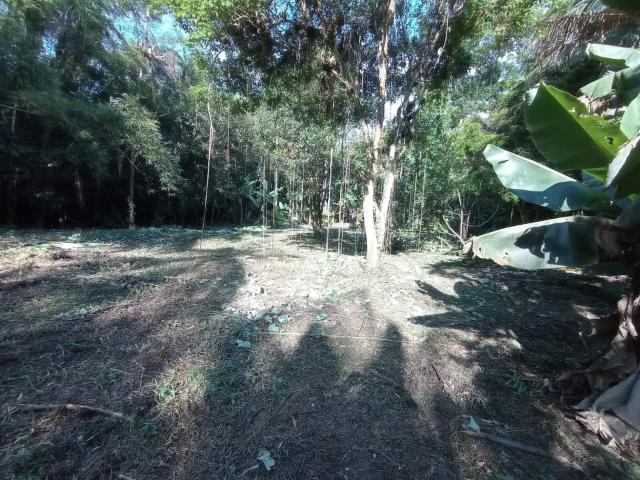 Terreno / Lote para Venda em Morretes/PR Porto de Cima