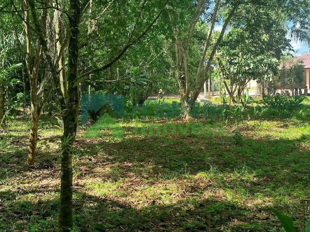 Terreno / Lote para Venda em Morretes/PR Raia Velha