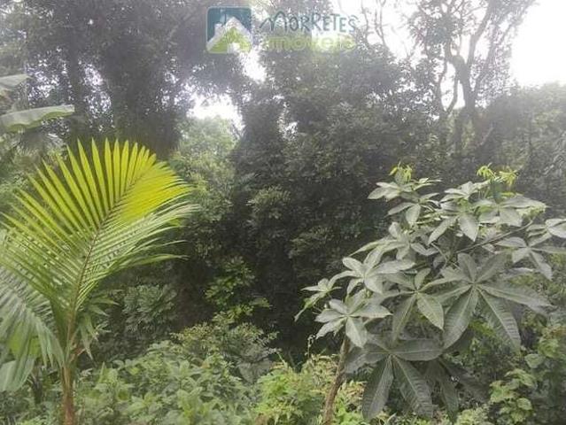 Terreno / Lote para Venda em Morretes/PR Rio Sagrado