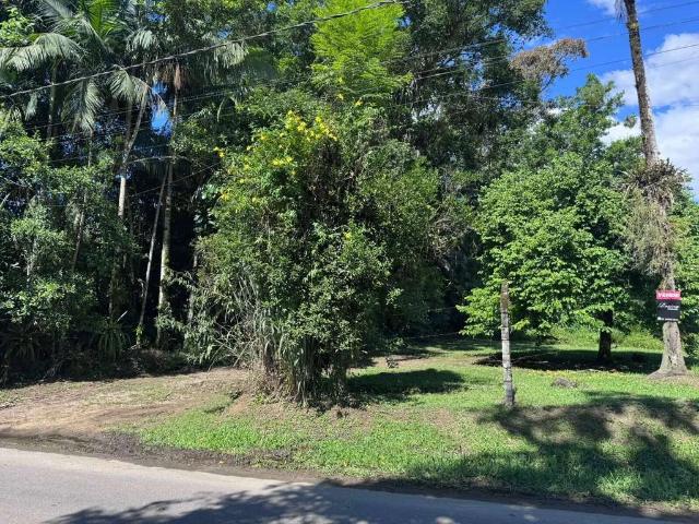 Terreno / Lote para Venda em Morretes/PR Rio Sagrado