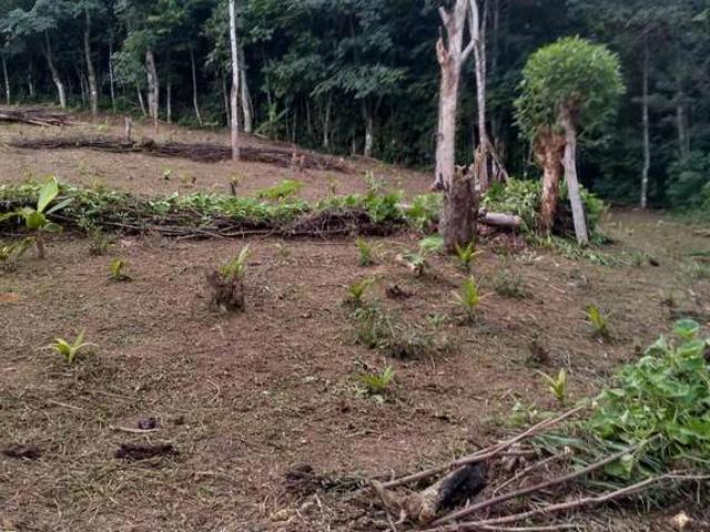 Terreno / Lote para Venda em Morretes/PR Rio Sagrado