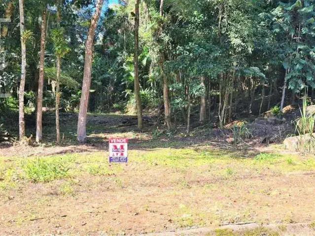 Terreno / Lote para Venda em Morretes/PR Rio Sagrado