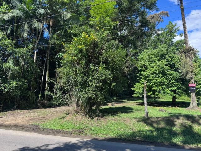 Terreno / Lote para Venda em Morretes/PR Rio Sagrado