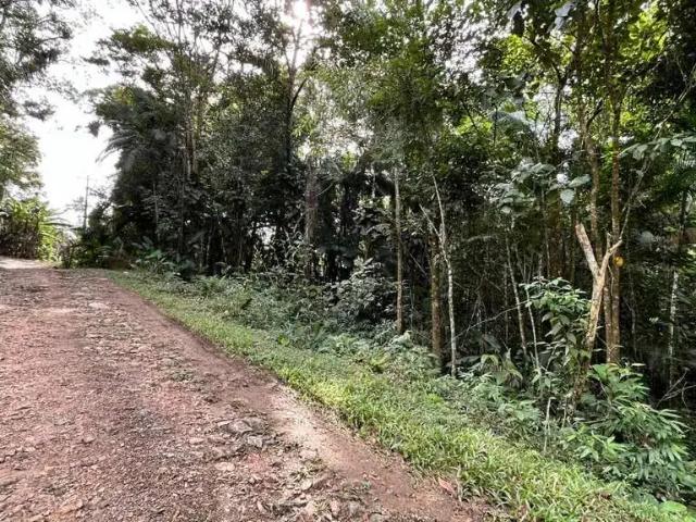 Terreno / Lote para Venda em Morretes/PR Rio Sagrado