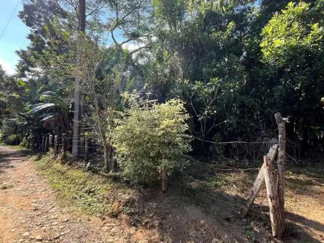 Terreno / Lote para Venda em Morretes/PR Rio Sagrado