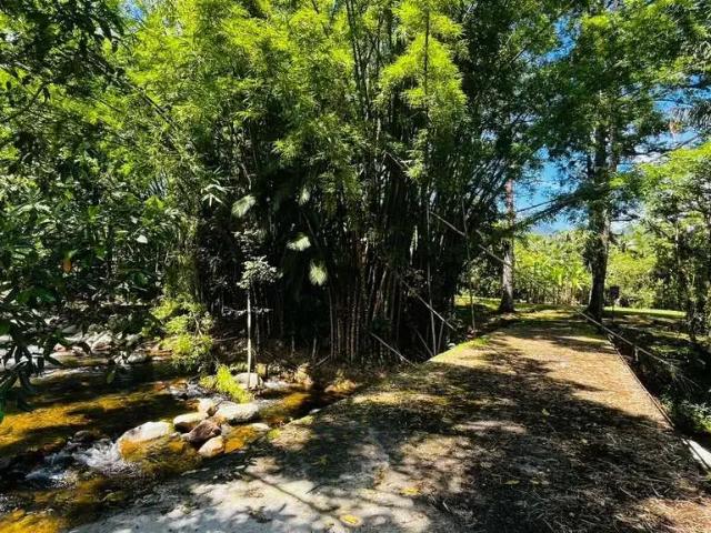 Terreno / Lote para Venda em Morretes/PR Rio Sagrado