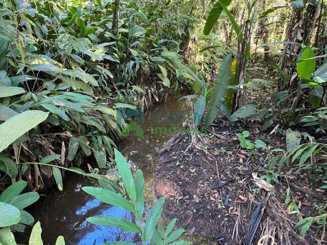 Terreno / Lote para Venda em Morretes/PR Rio Sagrado