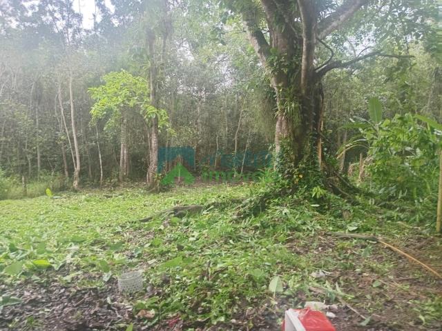 Terreno / Lote para Venda em Morretes/PR Rio Sagrado