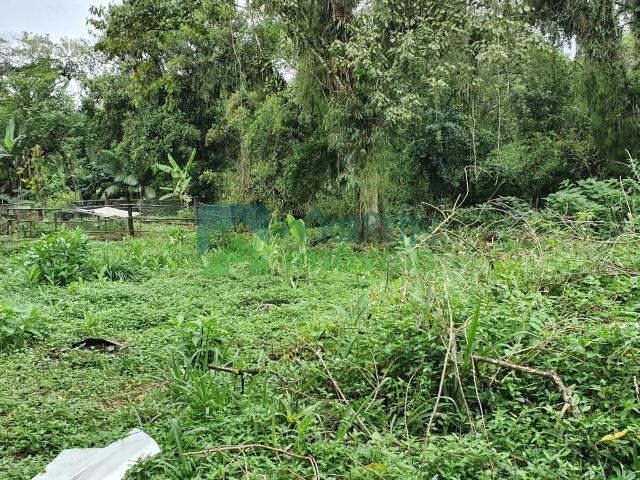 Terreno / Lote para Venda em Morretes/PR Rocio