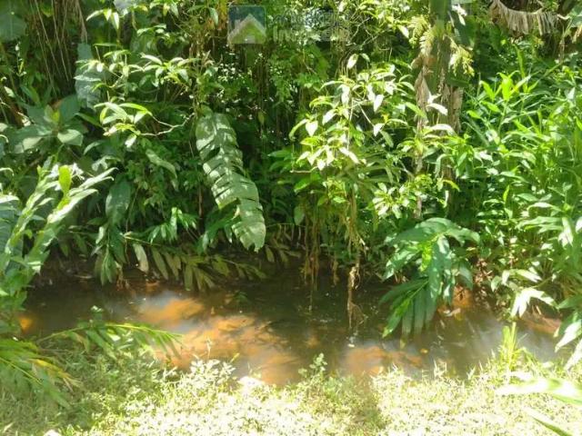 Terreno / Lote para Venda em Morretes/PR São João da Graciosa