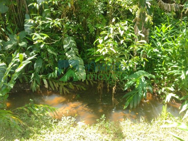 Terreno / Lote para Venda em Morretes/PR São João da Graciosa