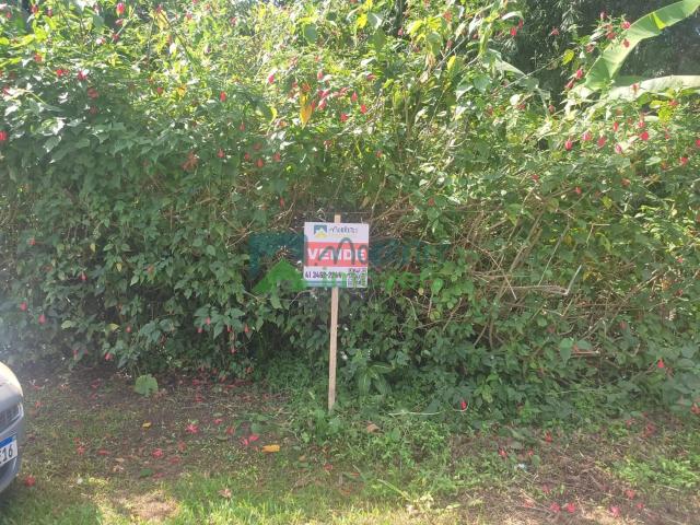 Terreno / Lote para Venda em Morretes/PR São João da Graciosa