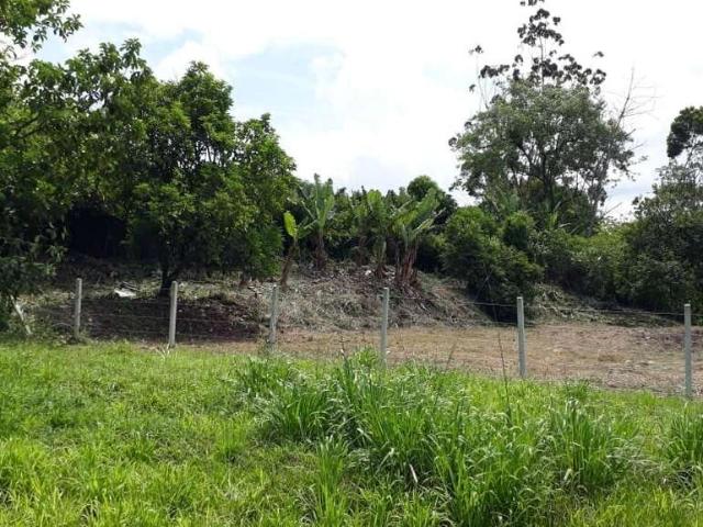 Terreno / Lote para Venda em Morretes/PR Sambaqui