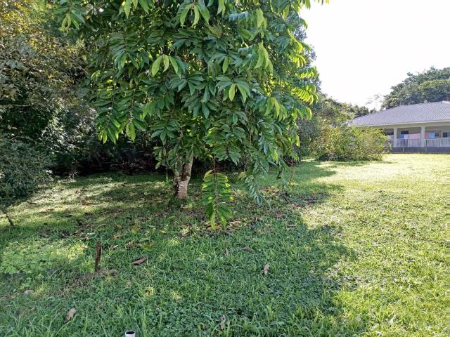 Terreno / Lote para Venda em Morretes/PR Sítio do Campo