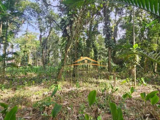 Terreno / Lote para Venda em Morretes/PR Sítio do Campo
