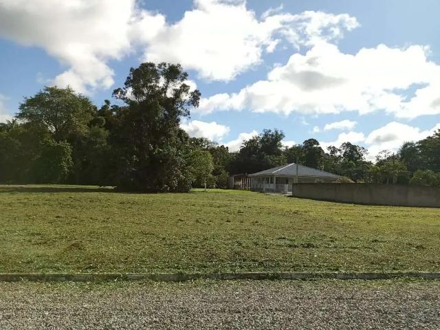 Terreno / Lote para Venda em Morretes/PR Sítio do Campo