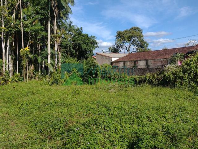 Terreno / Lote para Venda em Morretes/PR Vila Santo Antônio