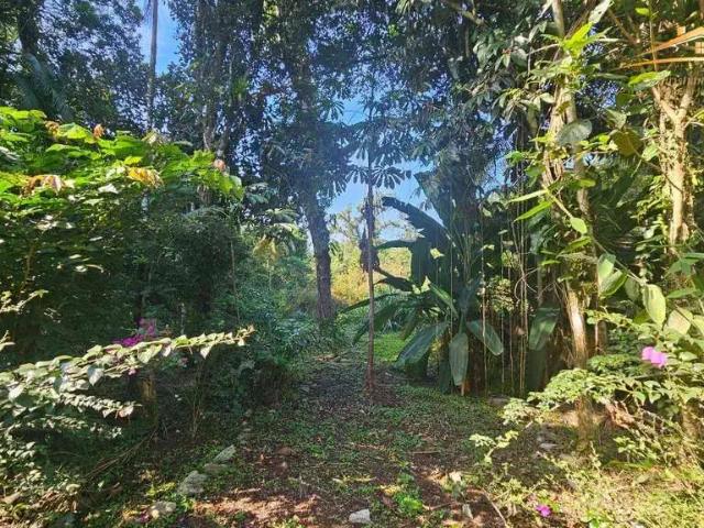 Terreno / Lote para Venda em Morretes/PR Zona Rural
