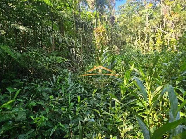 Terreno / Lote para Venda em Morretes/PR Zona Rural