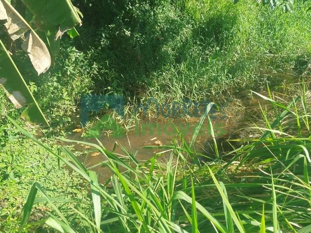Terreno / Lote para Venda em Morretes/PR Zona Rural